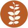 Bush Tucker Blends AU